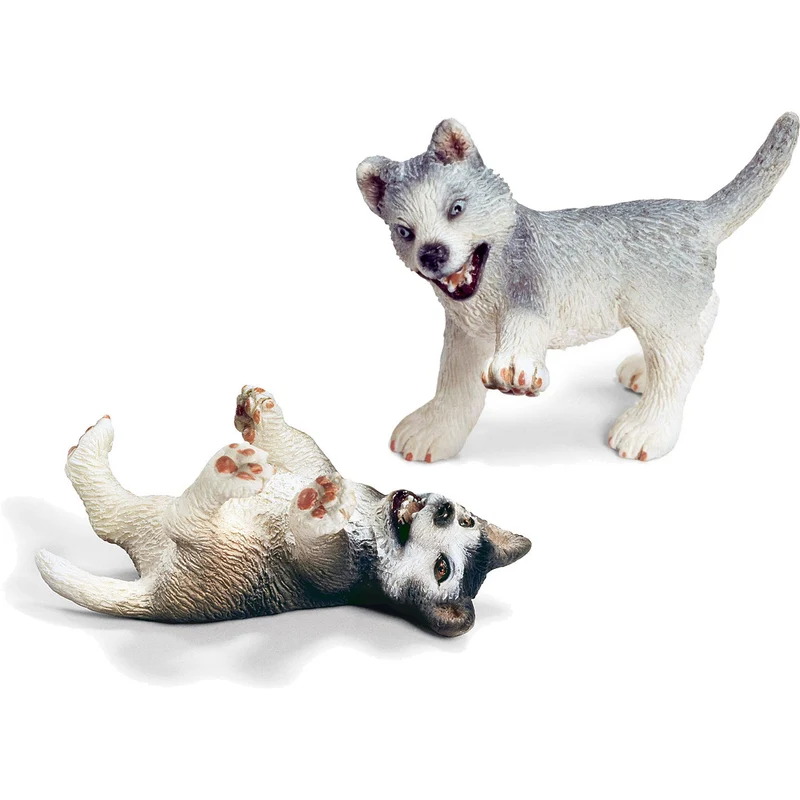 Miniature - Husky Puppies (Playing/ Fighting)