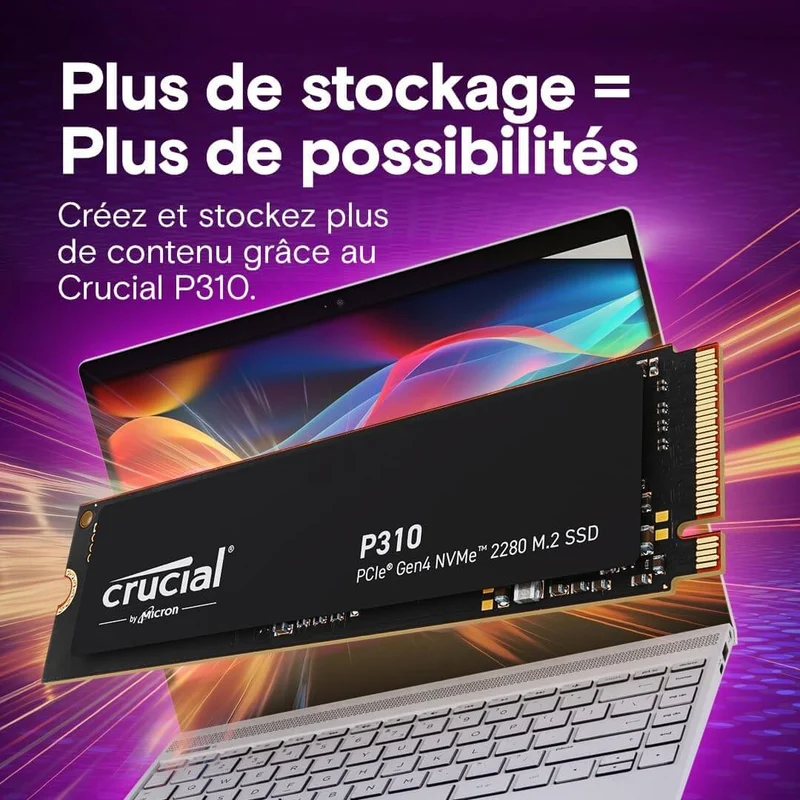 Crucial P310 2 To PCIe Gen4 NVMe 2280 M.2 SSD