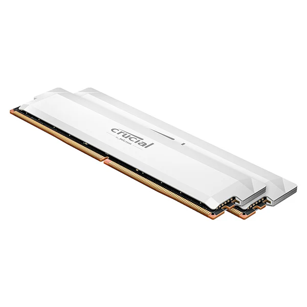 Crucial Pro DDR5 32 Go (2x16Go) 6400 MHz CL38 White