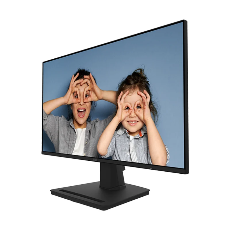 MSI PRO MP252 24.5" IPS 100Hz