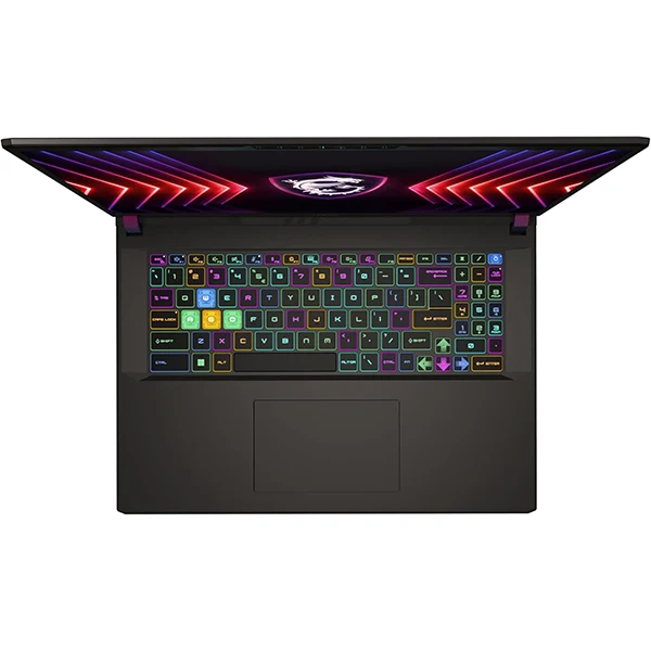 MSI Vector 17 HX A14VIG-616FR Intel Core i9-14900HX/32Go /1To SSD/RTX4090/17" QHD+ 240 Hz