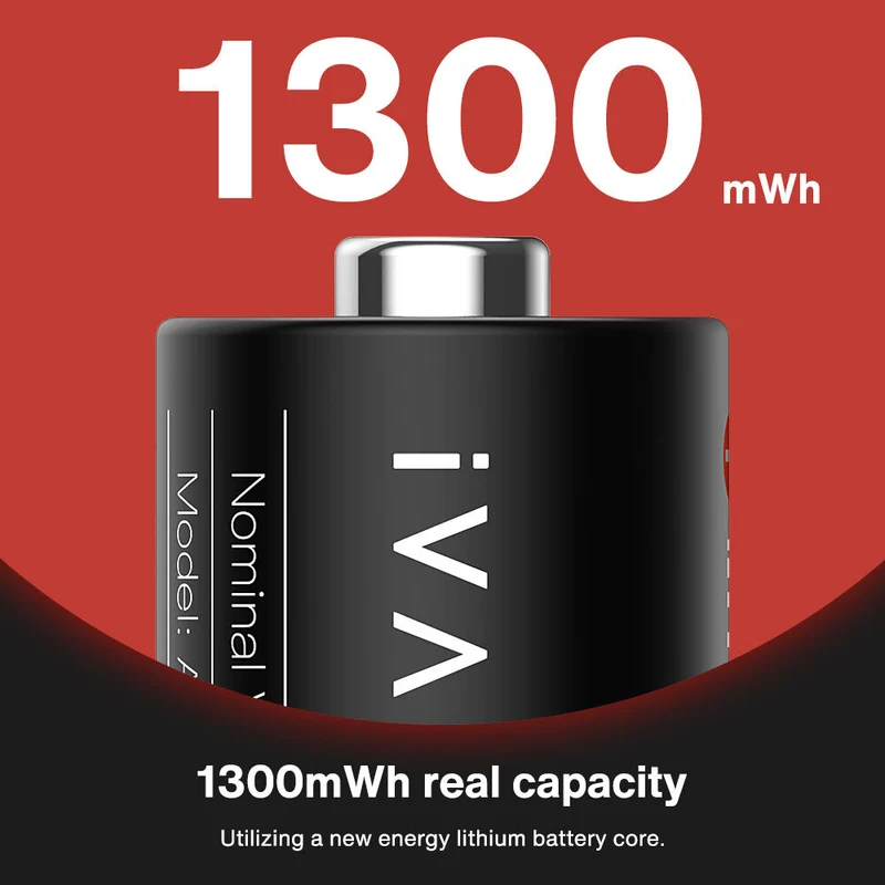 Cargador iVANKY Portable Charging Case con 4-Pack AAA y 4-Pack AA recargables Lithium-Ion