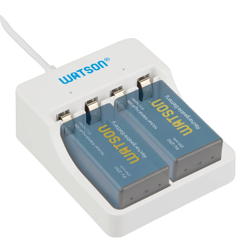 Cargador Watson 2 bahías USB-C para 9V recargables