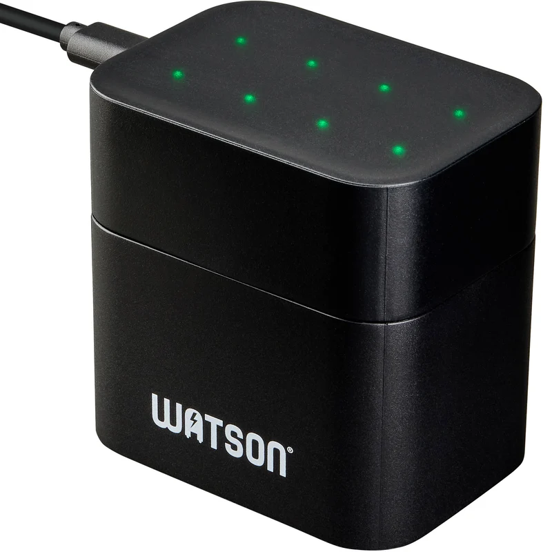 Cargador Watson recargables AA Lithium-Ion con 8 bahías (8-Pack, 3600mWh)