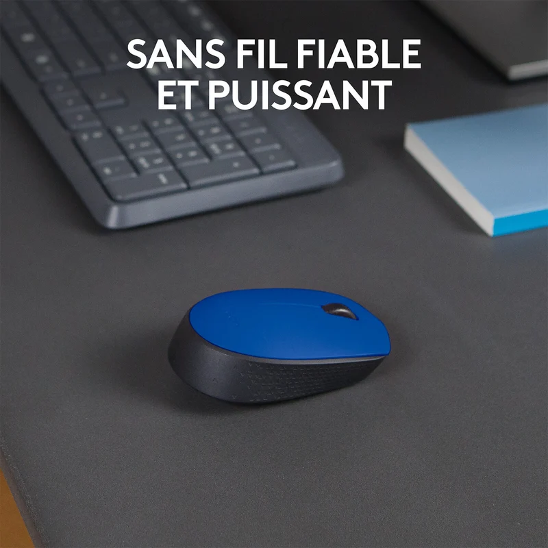 Logitech M171 Wireless Mouse (Blue)