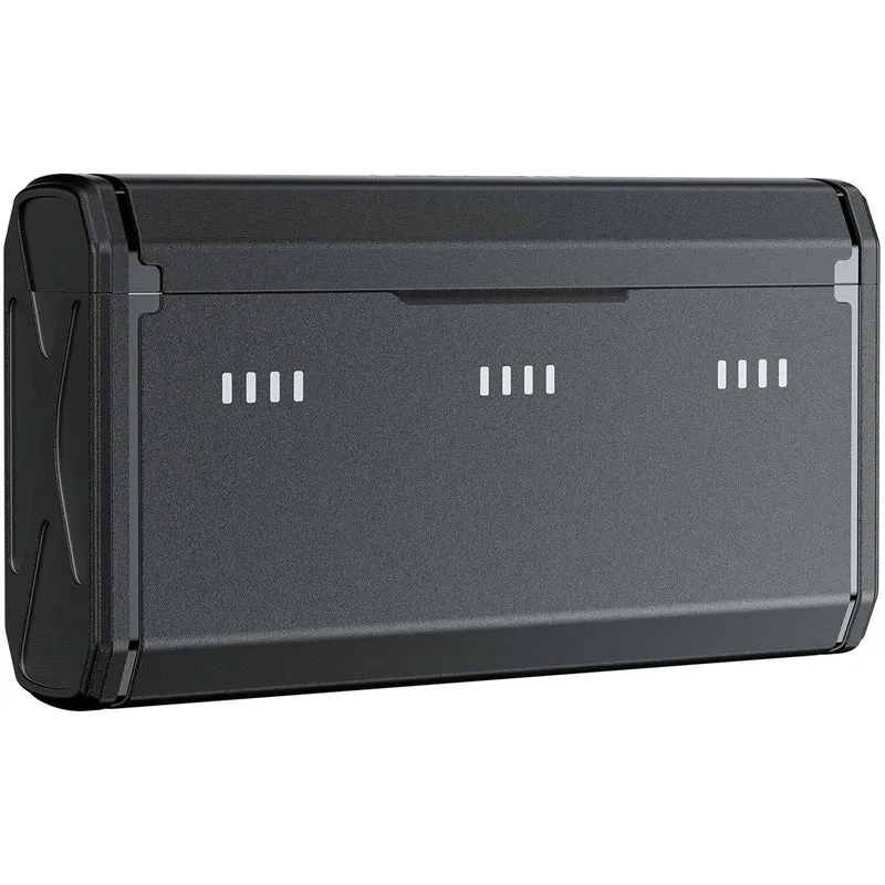 Cargador TELESIN NP-BX1 Portable Charging Case