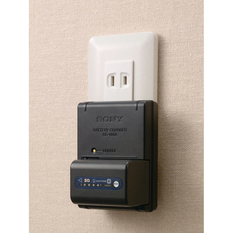 Cargador Sony BC-VM10