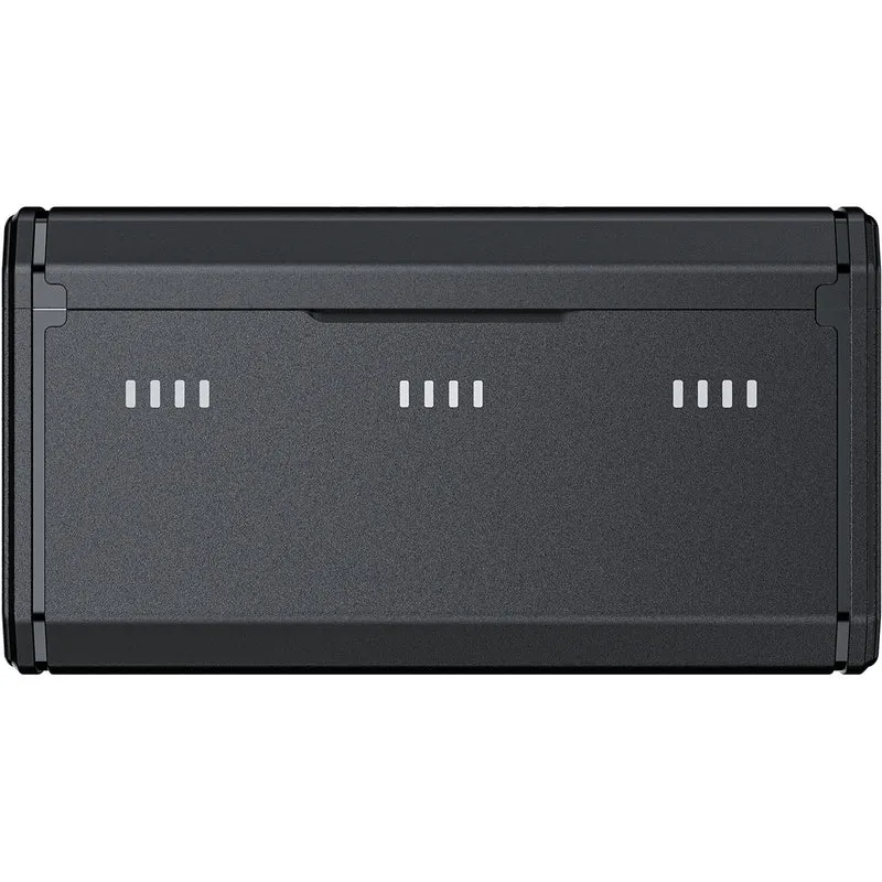 Cargador TELESIN NP-BX1 Portable Charging Case con Two Kit