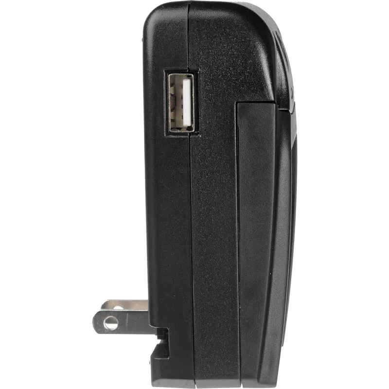 Cargador Watson Compact AC/DC para DMW-BCJ13
