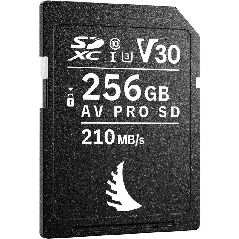 Tarjeta Angelbird 256GB AV PRO UHS-I SDXC
