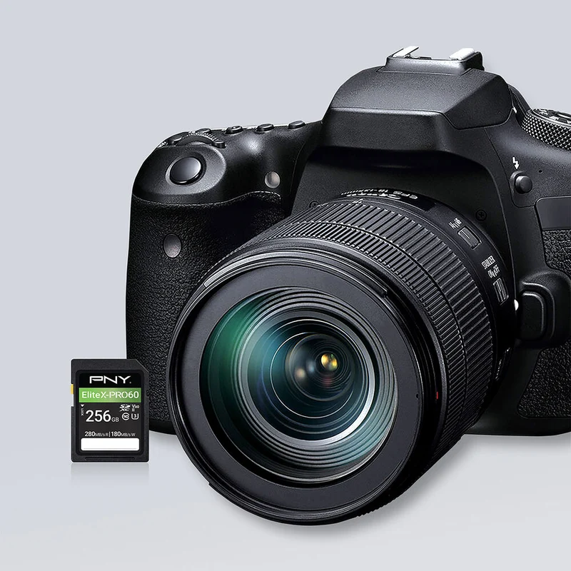 Tarjeta PNY 256GB EliteX-PRO60 UHS-II SDXC
