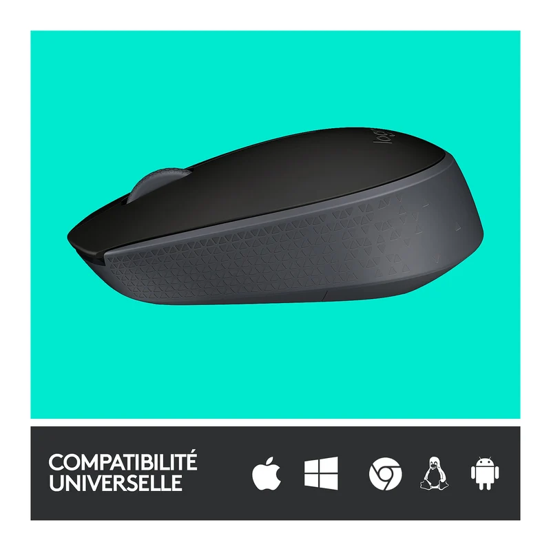 Logitech M171 Wireless Mouse (Noir)