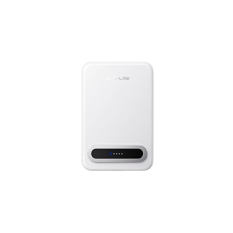 Power Bank EcoFlow RAPID, 10,000 mAh, Carga 15 W, Negro
