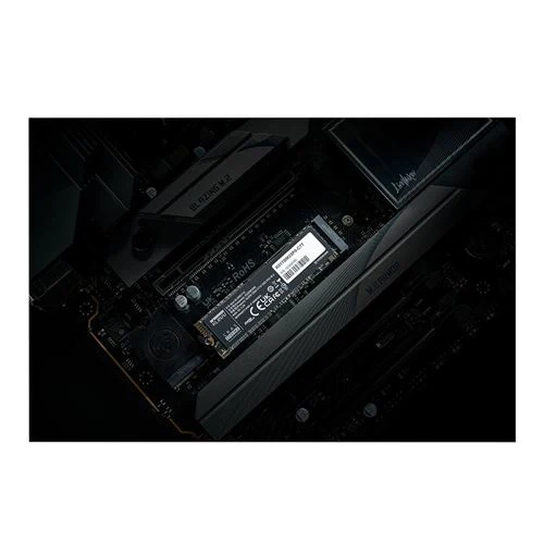 Disco SSD KLEVV C715 256GB 3D TLC NAND PCIe Gen 3 x4 NVMe M.2 Internal SSD