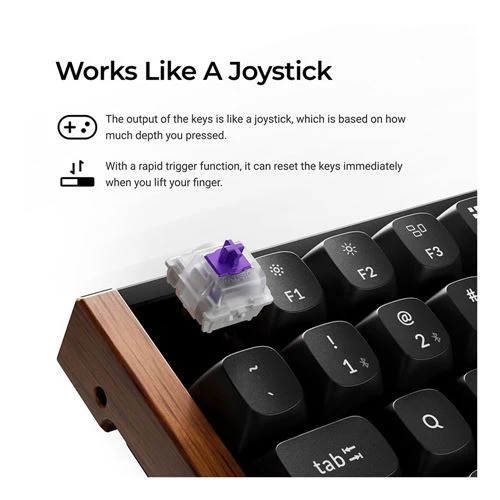Teclado Keychron K2 HE Swappable RGB Magnetic Keyboard Negro
