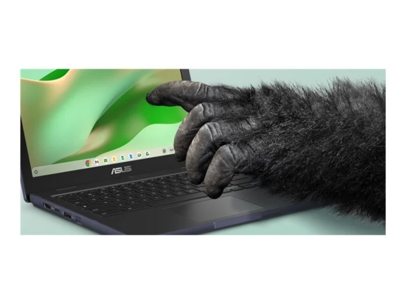 Laptop ASUS Chromebook CZ12 CZ1204CM4A-YZ84T, MediaTek Kompanio 540 8 Núcleos, 8GB DDR5, 64 GB, ARM Mali-G57 MC2