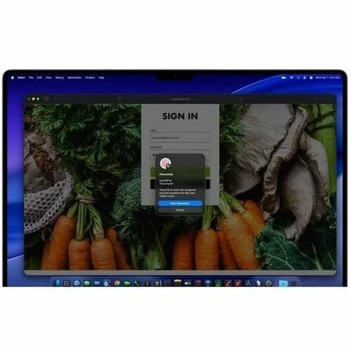 Apple MacBook Pro 14" M5 Pro - 24GB - 2TB SSD - Negro Espacial