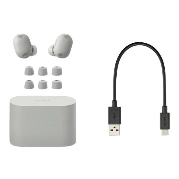 Audífono Sony WF-1000XM6 Active Noise Canceling True Wireless Bluetooth Earbud - Plata - WF1000XM6/S